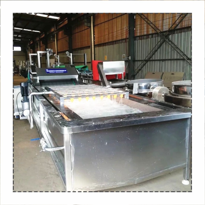 厂家生产果蔬清洗机 桑叶清洗机 大白菜辣椒气泡喷淋清洗机图5