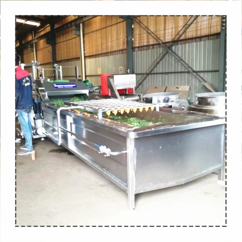 厂家生产果蔬清洗机 桑叶清洗机 大白菜辣椒气泡喷淋清洗机图4