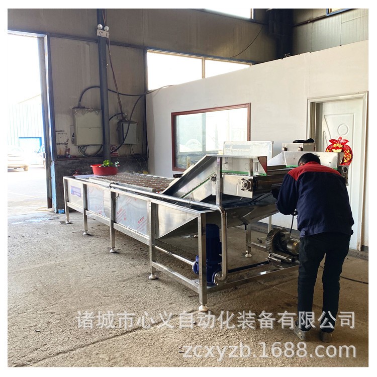 厂家酱菜气泡脱盐设备 全自动榨菜脱盐机 酱菜气泡清洗机图3