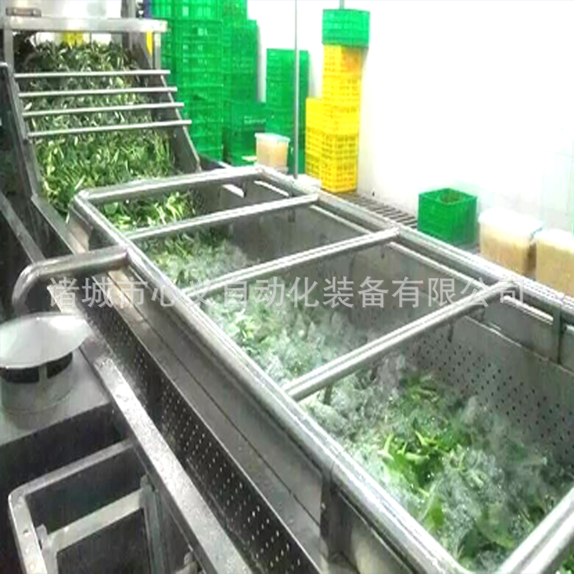 蔬菜水果清洗机 1