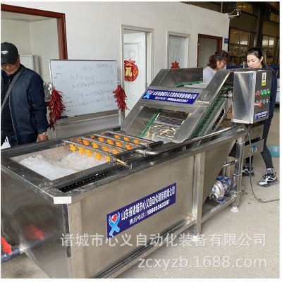 马青菜清洗加工流水线 小油菜净菜加工整线工程线 小白菜加工设备