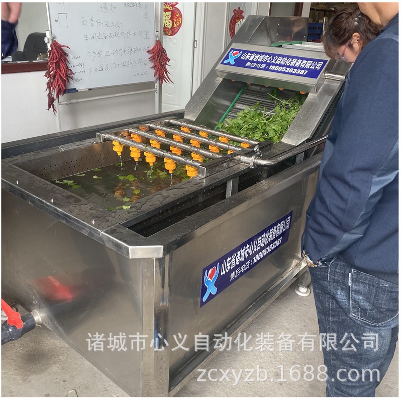 马青菜清洗加工流水线 小油菜净菜加工整线工程线 小白菜加工设备图2