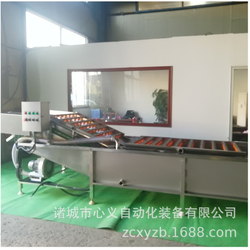 马青菜清洗加工流水线 小油菜净菜加工整线工程线 小白菜加工设备图4