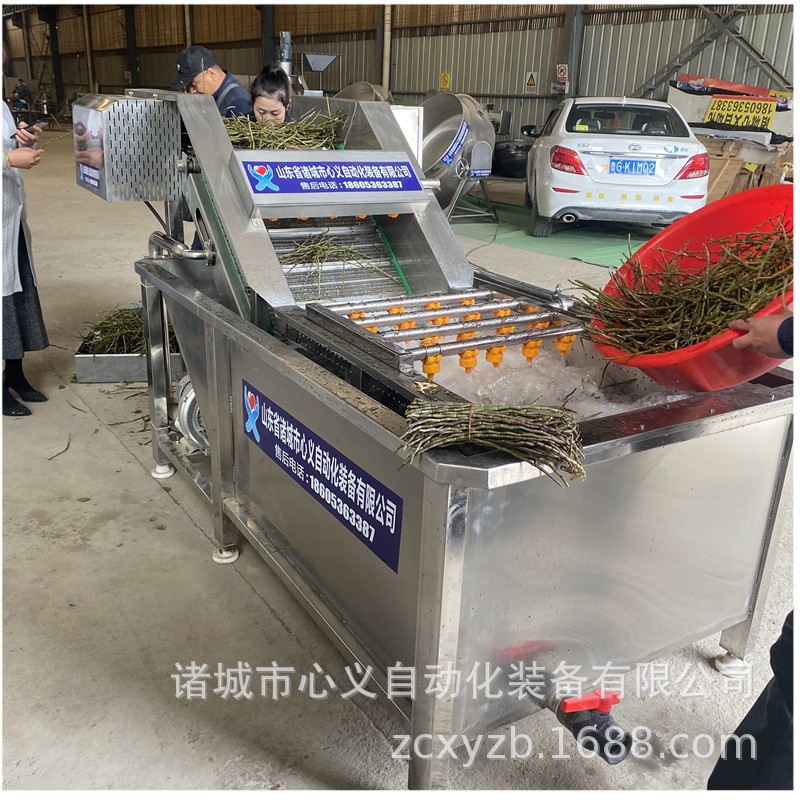 马青菜清洗加工流水线 小油菜净菜加工整线工程线 小白菜加工设备图3