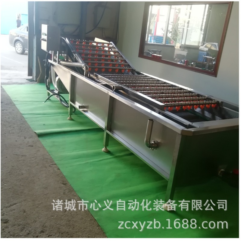 马青菜清洗加工流水线 小油菜净菜加工整线工程线 小白菜加工设备图5