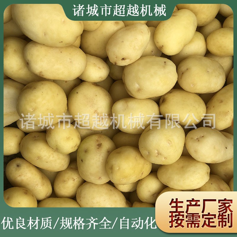 鲜核桃清洗机 胡桃碧根果清洗机 毛辊清洗去皮设备 土豆清洗机图4