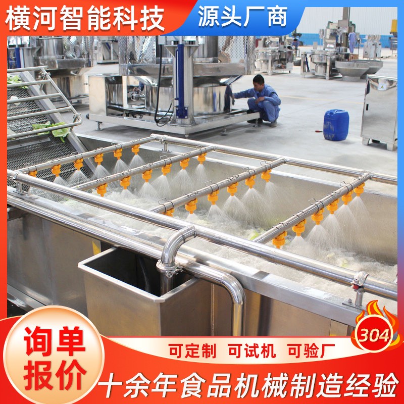 商用蔬菜水果清洗线 全自动大型食堂洗菜机 供应果蔬气泡式清洗机图3