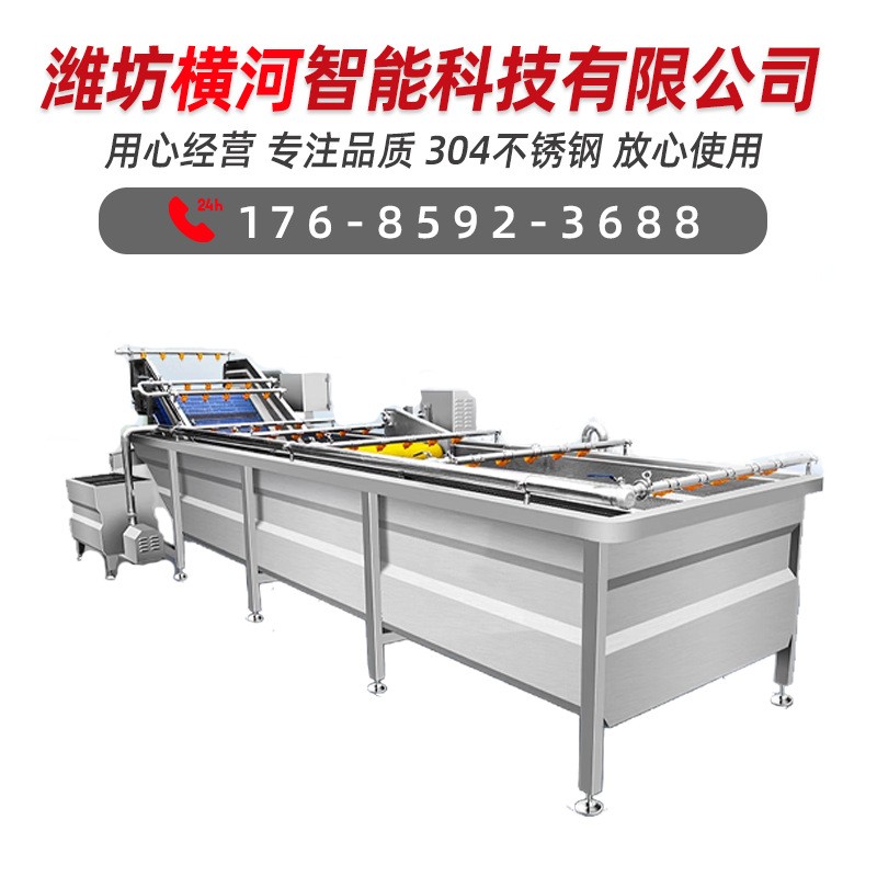 商用蔬菜水果清洗线 全自动大型食堂洗菜机 供应果蔬气泡式清洗机图5