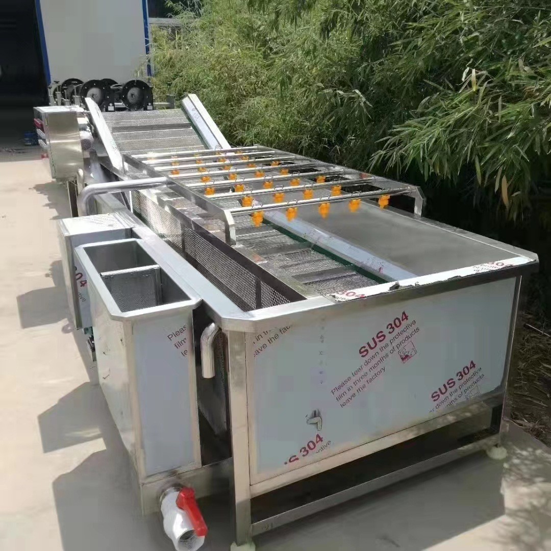 生姜脱皮清洗流水线 土豆毛辊去皮清洗线 食堂用臭氧果蔬清洗线图4