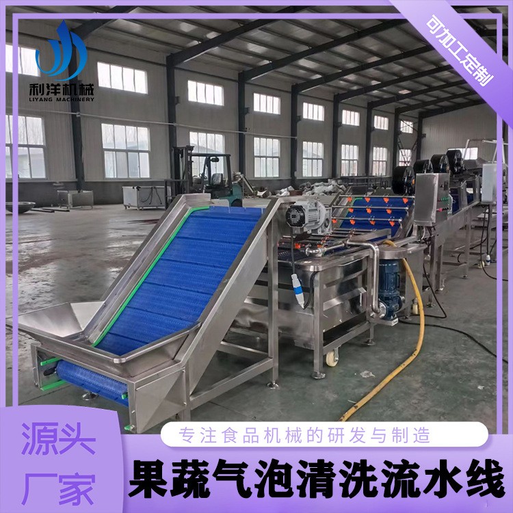 全自动预制净菜加工设备 喷淋式牛油果清洗线 草莓气泡清洗流水线图3