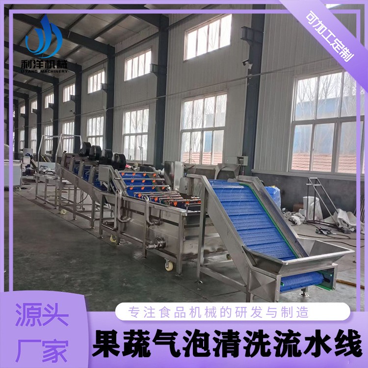 全自动预制净菜加工设备 喷淋式牛油果清洗线 草莓气泡清洗流水线图4
