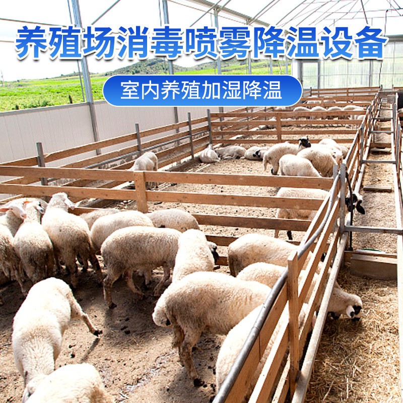 汇中养殖场全自动造雾机 养猪场降温消毒设备 养殖场喷淋降温图4