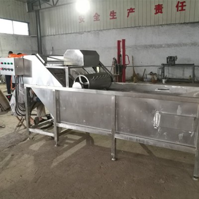 厂家供应果蔬气泡清洗机 高压气泡清洗机 全自动蔬菜清洗机