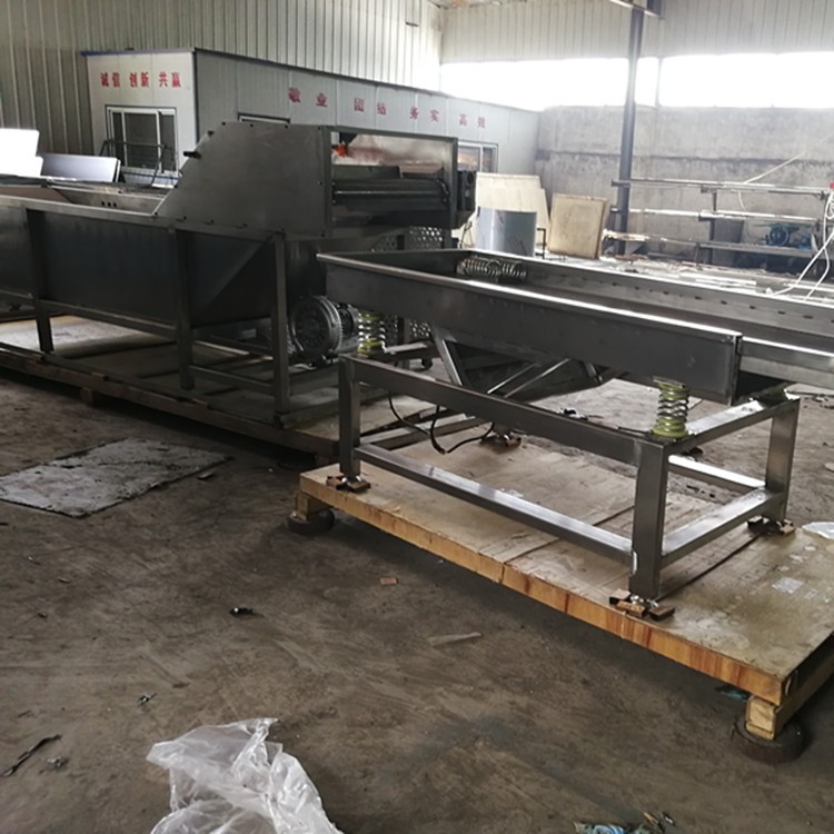 厂家供应果蔬气泡清洗机 高压气泡清洗机 全自动蔬菜清洗机图3