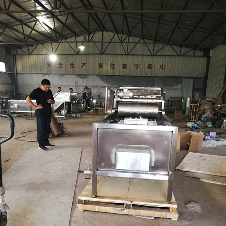 生产果蔬气泡清洗机 食堂用臭氧杀菌果蔬清洗机 全自动洗菜机图4