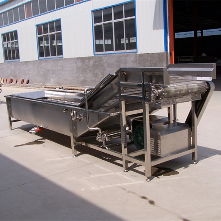 生产果蔬气泡清洗机 食堂用臭氧杀菌果蔬清洗机 全自动洗菜机图5