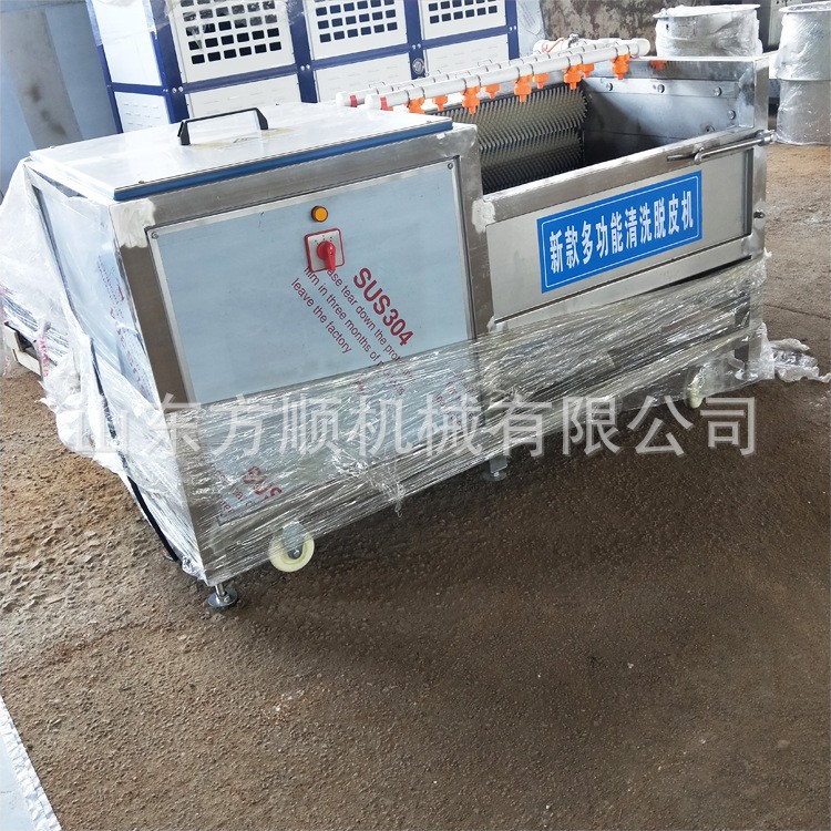 工厂供应毛棍清洗机 多功能蔬果快速清洗机 新款毛棍清洗机价格图2