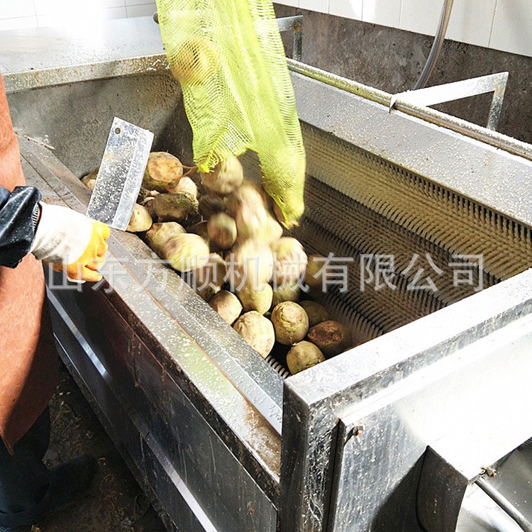 工厂供应毛棍清洗机 多功能蔬果快速清洗机 新款毛棍清洗机价格图4