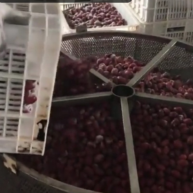 全自动电加热低温真空油炸机 花生米/果蔬脆流水线 商用油炸设备图4