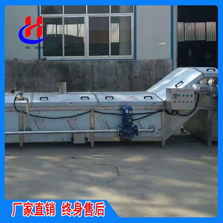 黄桃漂烫机竹笋漂烫预煮机毛豆杀青漂烫蒸煮流水线设备厂家供应图2