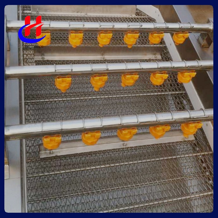 气泡清洗山野菜加工设备荠菜翻浪鼓泡清洗机桑叶清洗机图4