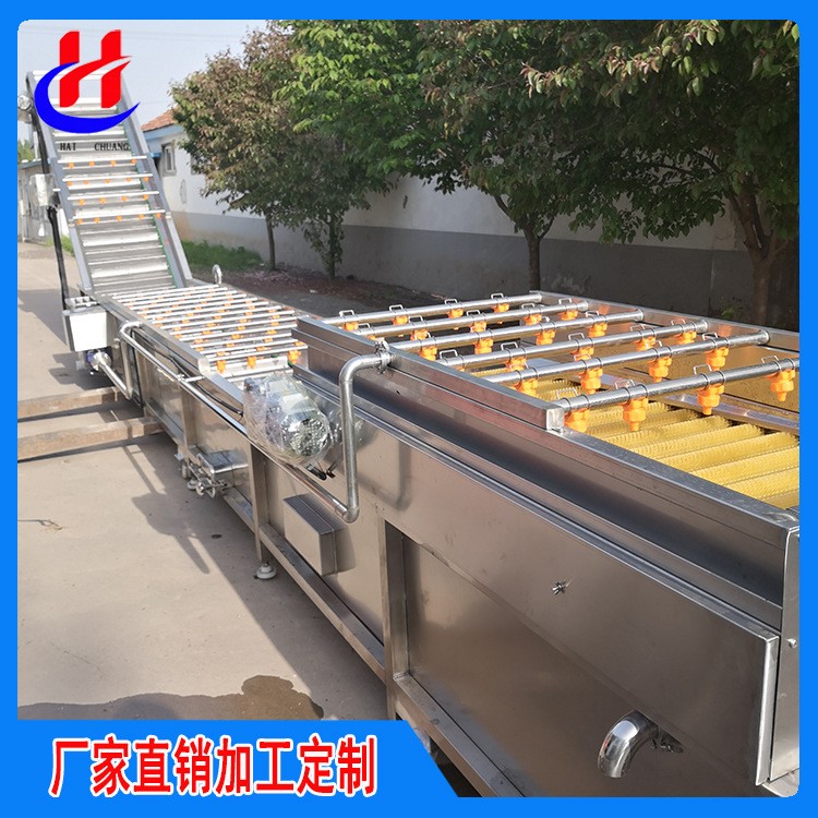 气泡清洗山野菜加工设备荠菜翻浪鼓泡清洗机桑叶清洗机图2