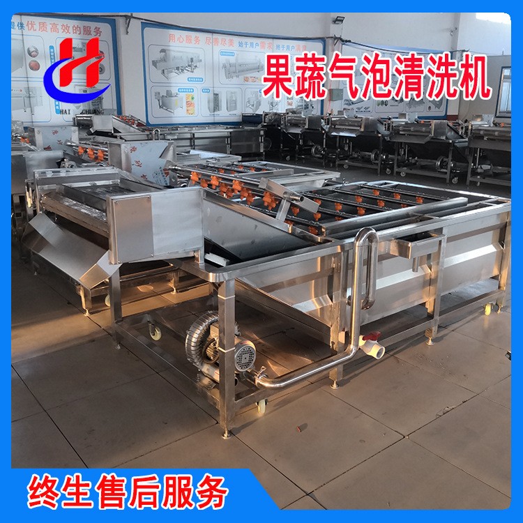 气泡清洗山野菜加工设备荠菜翻浪鼓泡清洗机桑叶清洗机图3