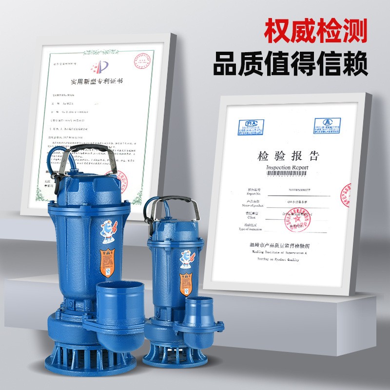 单相污水泵工程铜芯排污泵家用220V大功率大流量泥浆农用潜水电泵图3