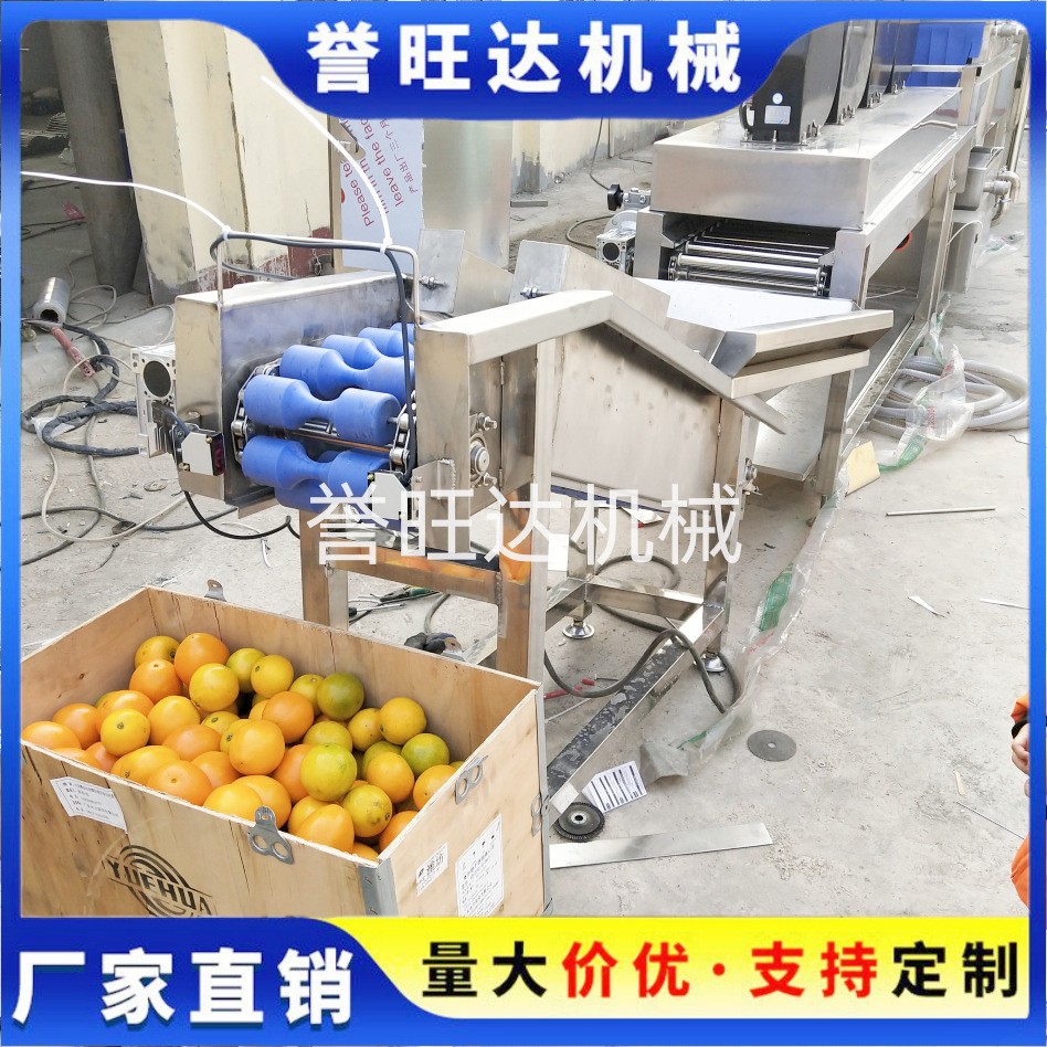 冰糖橙清洗风干去水打蜡流水线 柑橘清洗流水线 汽泡洗橘子机器图2