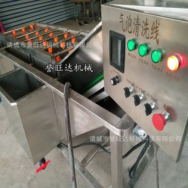 节水型果蔬汽泡清洗机 汽泡橙子清洗机 四川椪柑循环水毛刷清洗机图4