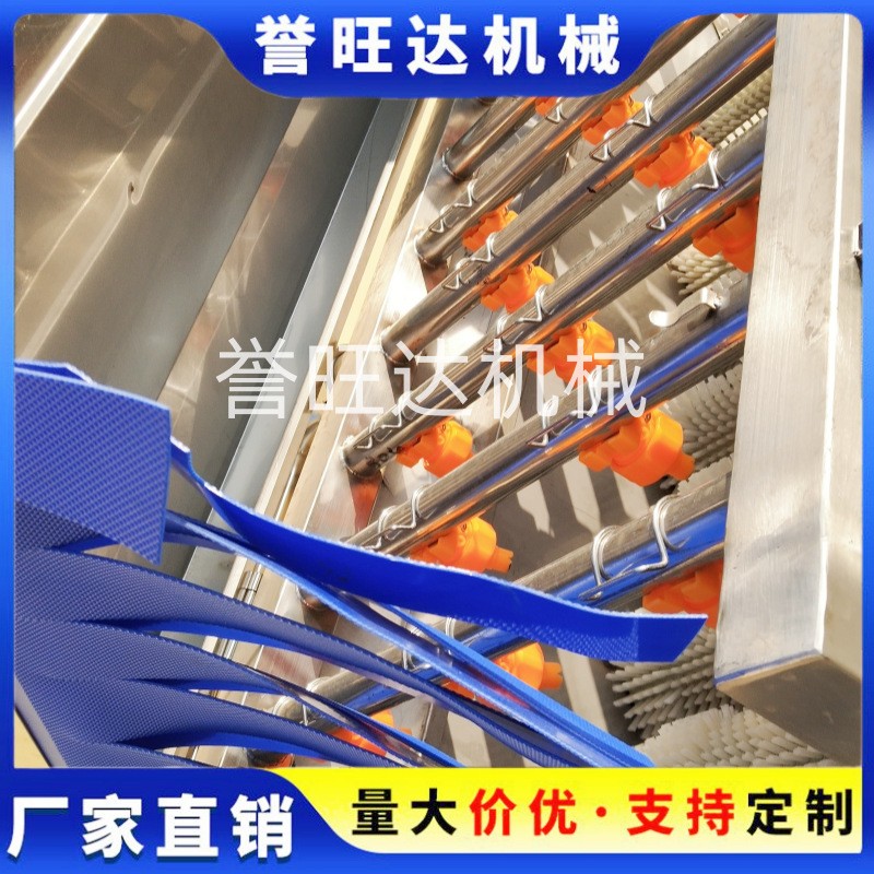 山竹橙子清洗机 自动鼓泡水果清洗机 小型打蜡分级风干洗脐橙机图3