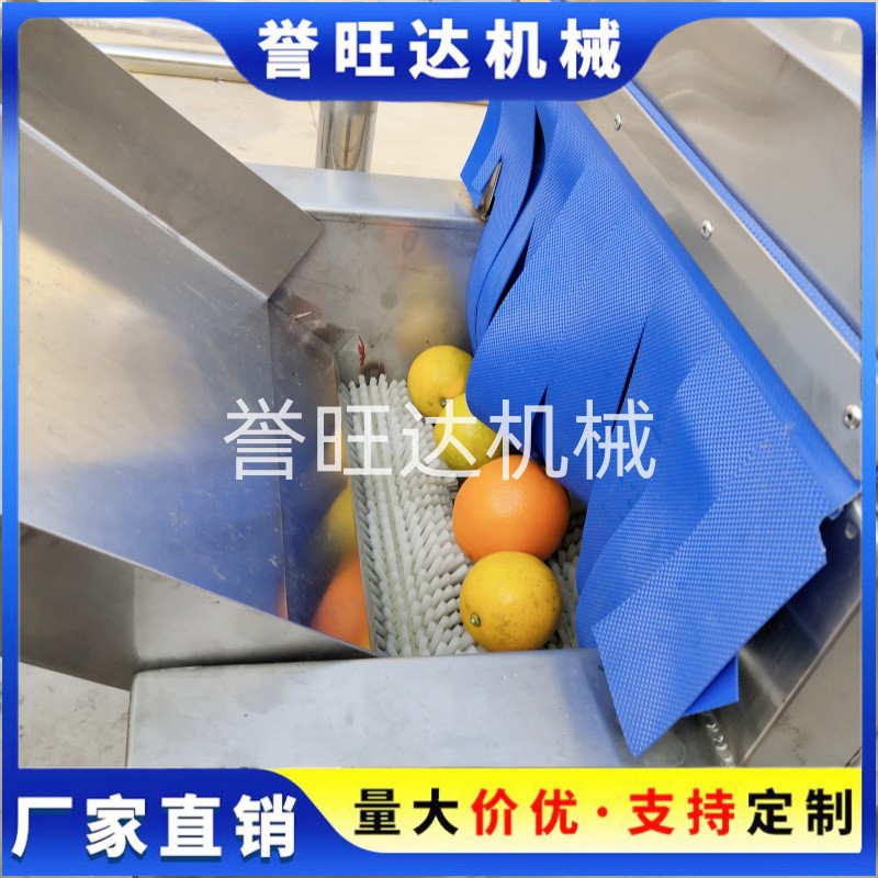 山竹橙子清洗机 自动鼓泡水果清洗机 小型打蜡分级风干洗脐橙机