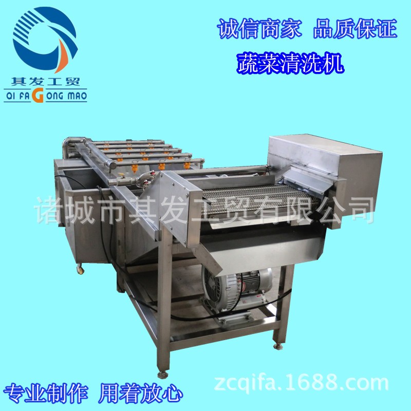诸城市其发工贸蔬菜清洗风干机 气泡水浴清洗设备 蔬菜清洗机价格