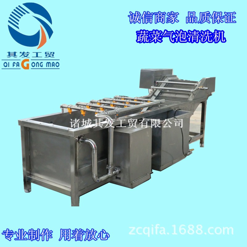 诸城市其发工贸蔬菜清洗风干机 气泡水浴清洗设备 蔬菜清洗机价格图5