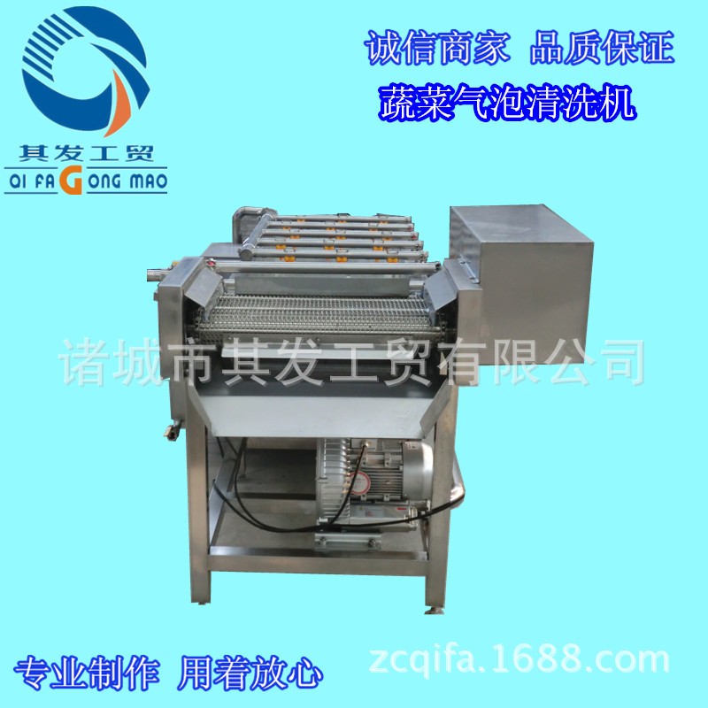 诸城市其发工贸蔬菜清洗风干机 气泡水浴清洗设备 蔬菜清洗机价格图4