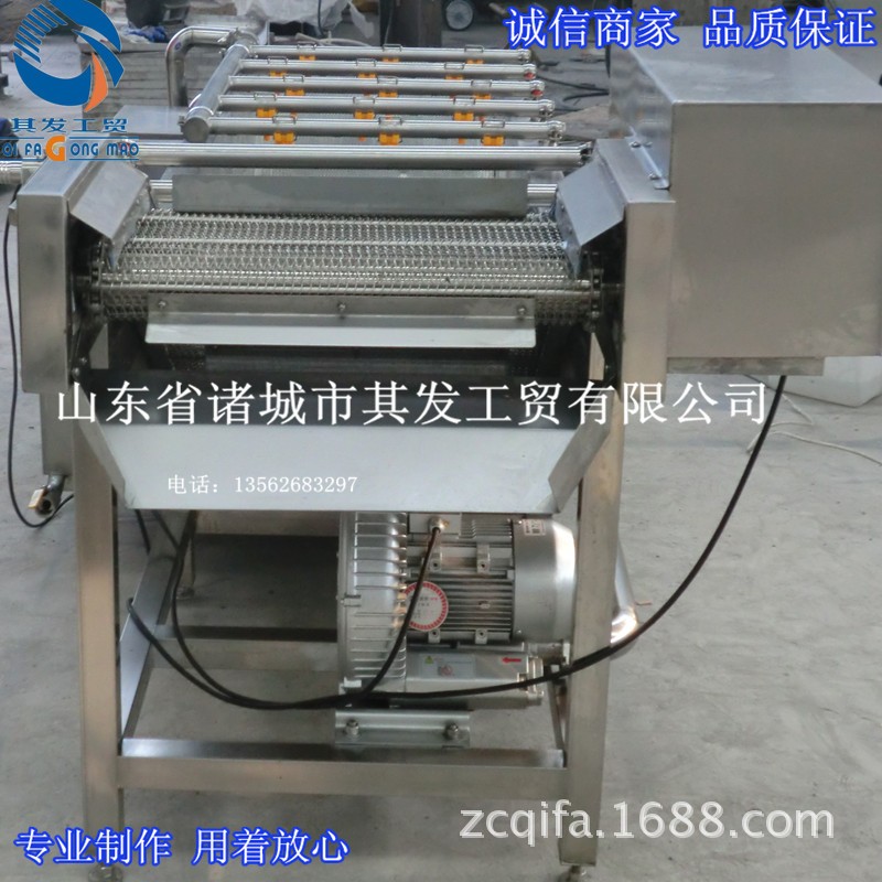 诸城市其发工贸供应气泡翻浪清洗机 叶菜类蔬菜清洗机 瓜果清洗图3