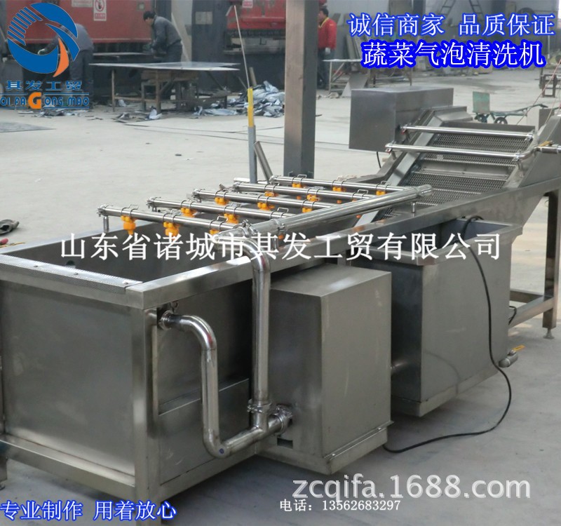 诸城市其发工贸供应气泡翻浪清洗机 叶菜类蔬菜清洗机 瓜果清洗图2