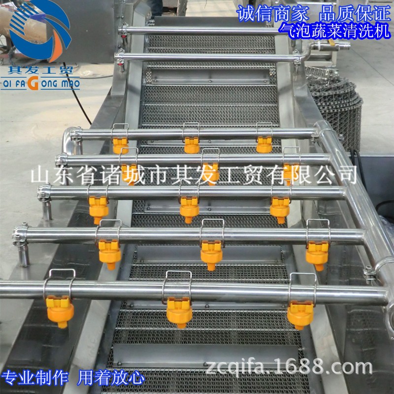 诸城市其发工贸供应气泡翻浪清洗机 叶菜类蔬菜清洗机 瓜果清洗