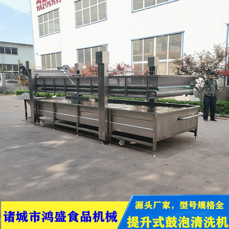 提升式气泡清洗机 蔬菜清洗机 软包装袋清洗机 厂家供应售后保障图2