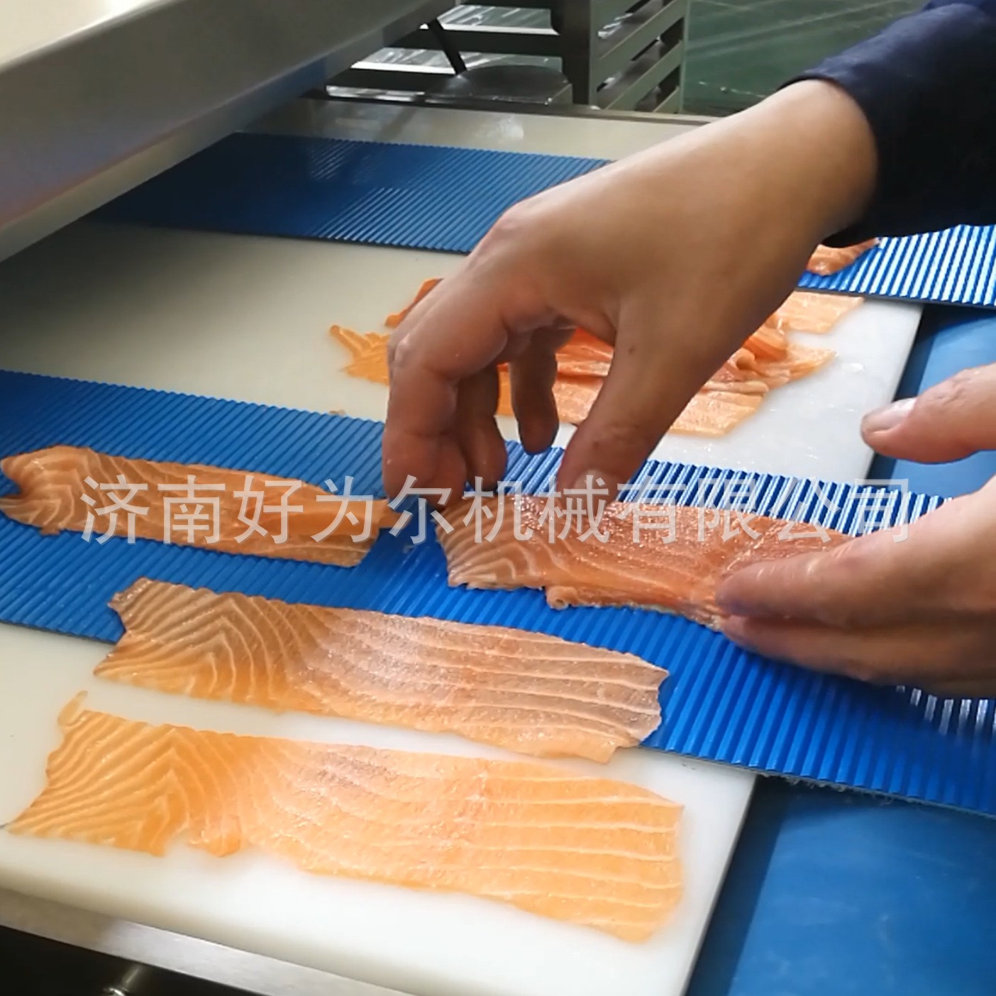 新型全自动鸡胸肉切片机 猪肉 牛肉 鸭肉切片机通过式一次成型图4