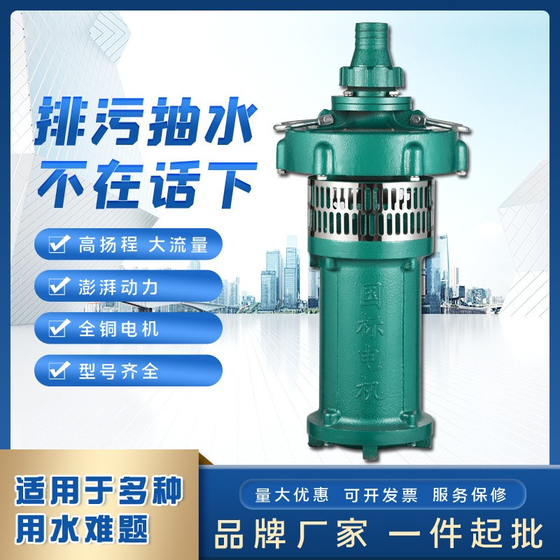 人民QY潜水电泵 三相充油式园林排灌大流量油浸泵高扬程农用泵图2