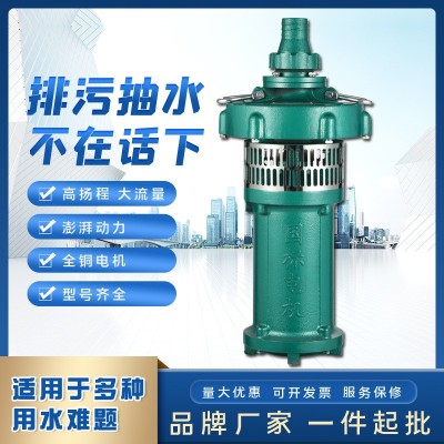 人民QY潜水电泵 三相充油式园林排灌大流量油浸泵高扬程农用泵