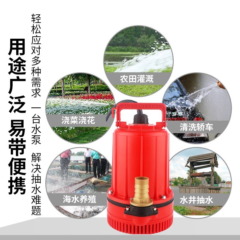 春耕抽水用什么户外直流水泵帮你解决图5