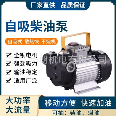 厂家批发220V电动自吸加油泵大功率抽油泵大流量抽油机柴油泵煤油