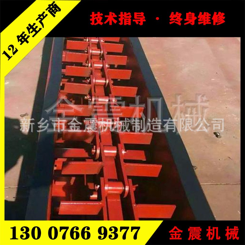污泥双链刮板输送机 刮板清理机图2