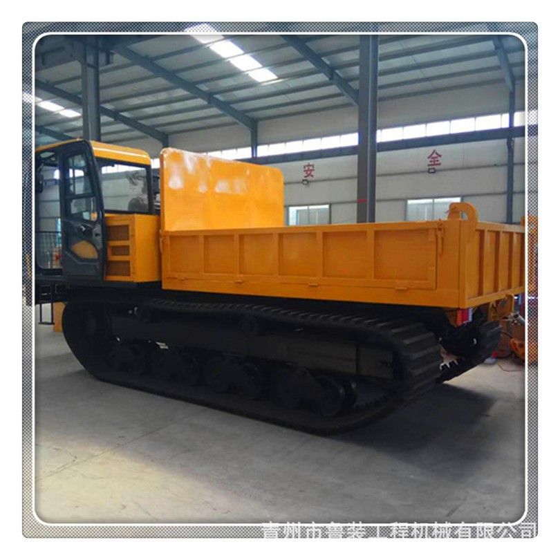 沼泽地 大坡度重型履带运输车 冰面链轨车 爬山虎订单式生产图2