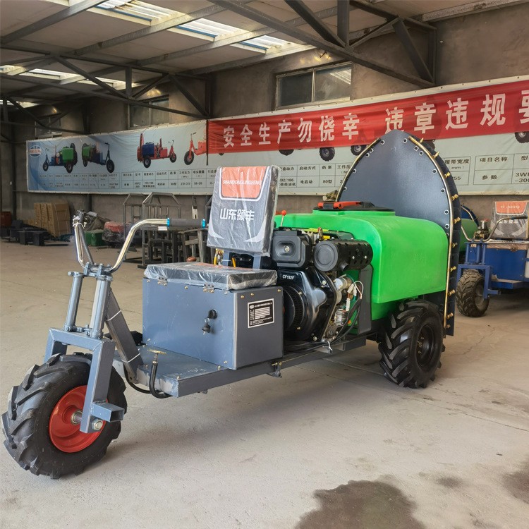 葡萄苹果园果树打药机【领丰】新款农用桃园自走风送式喷雾机450L图4