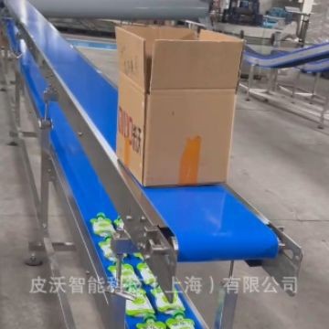 双层蓝色/绿色皮带输送机 食品式自动化分拣传送带 平型输送线图5