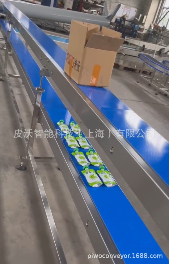 双层蓝色/绿色皮带输送机 食品式自动化分拣传送带 平型输送线图2