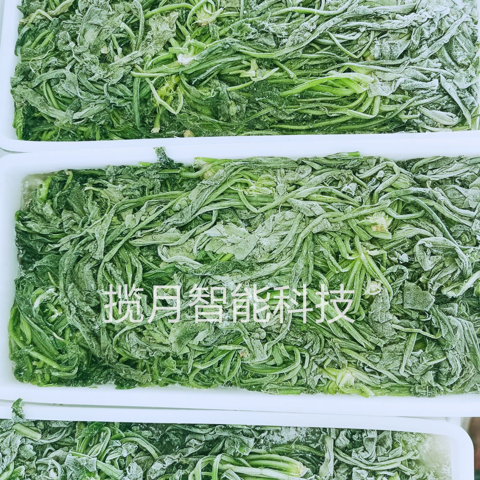 多功能臭氧去农残洗菜机 预制菜加工设备 果蔬清洗机图5